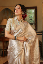 Handwoven Silver Banarasi Tissue Silk Saree