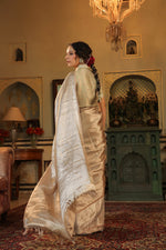 Handwoven Silver Banarasi Tissue Silk Saree