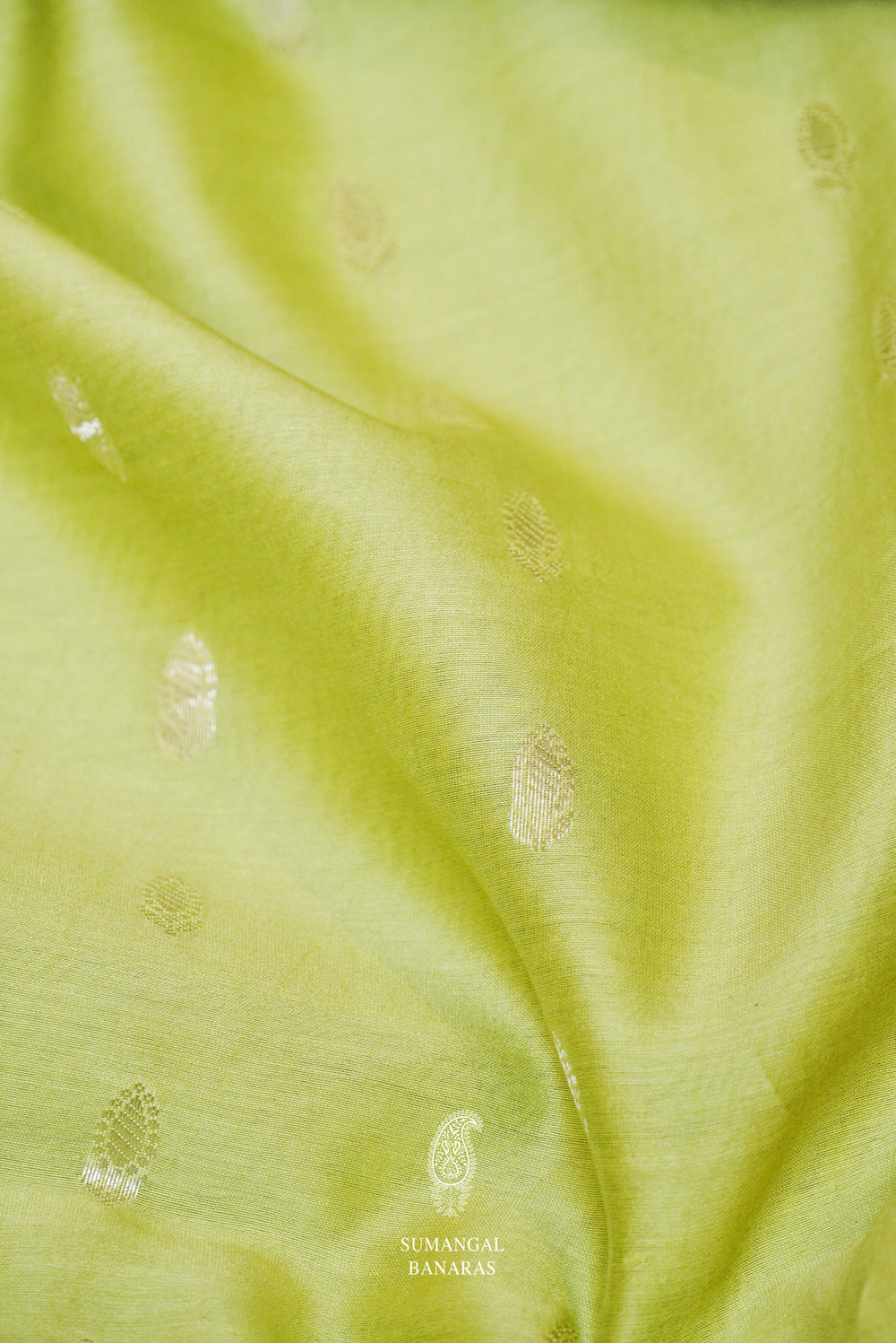 Handwoven Banarasi Organza Leaf Green Suit Set