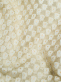 Banarasi Handwoven White Organza Silk Saree