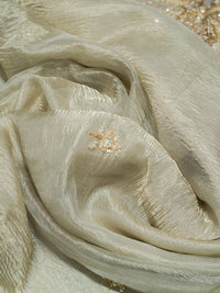 Beige Designer Tissue Silk Saree