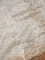 Handwoven Stone White Organza Silk Designer Saree