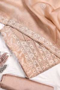 Designer Beige Organza Suit