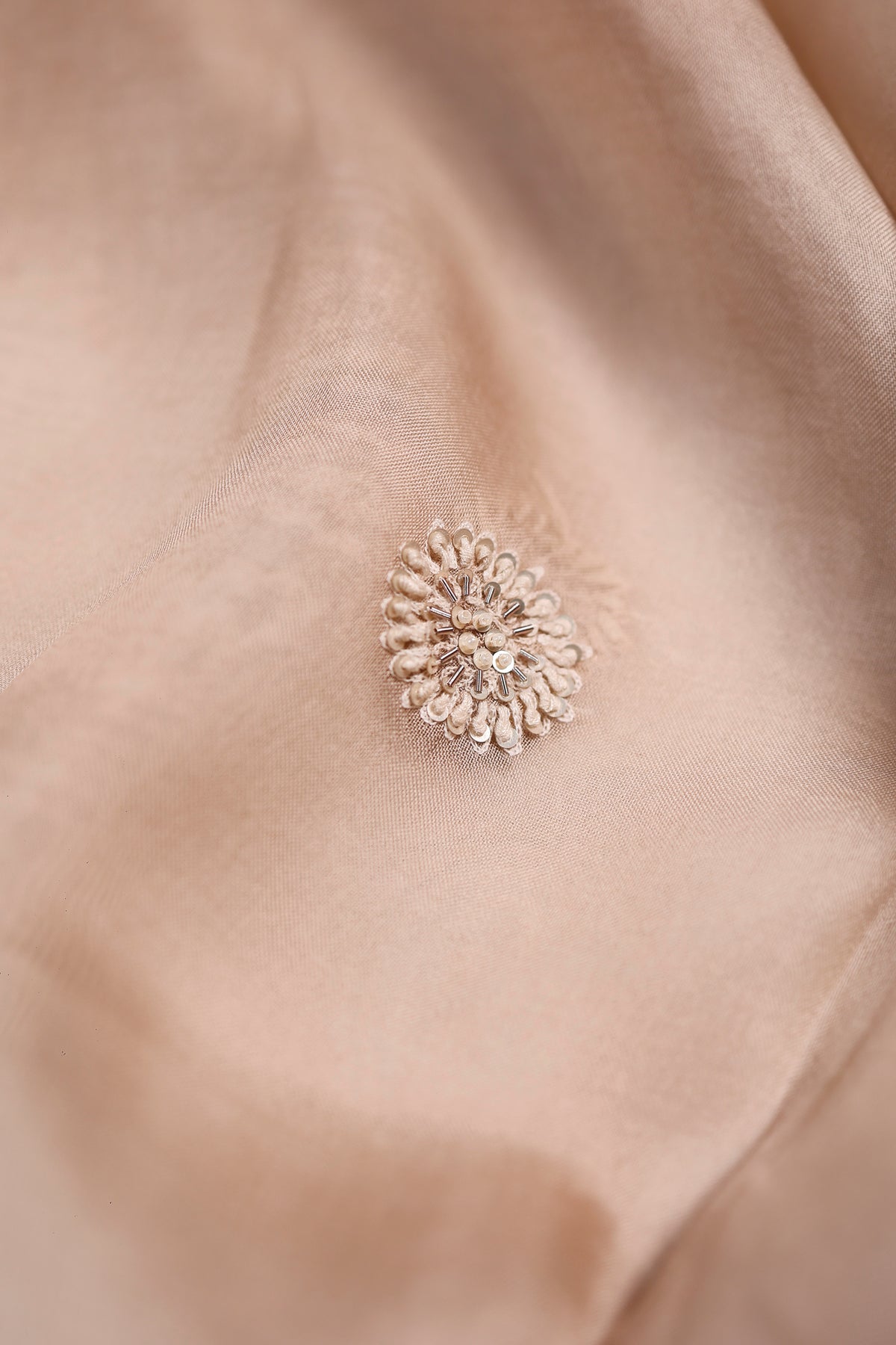 Designer Beige Organza Suit
