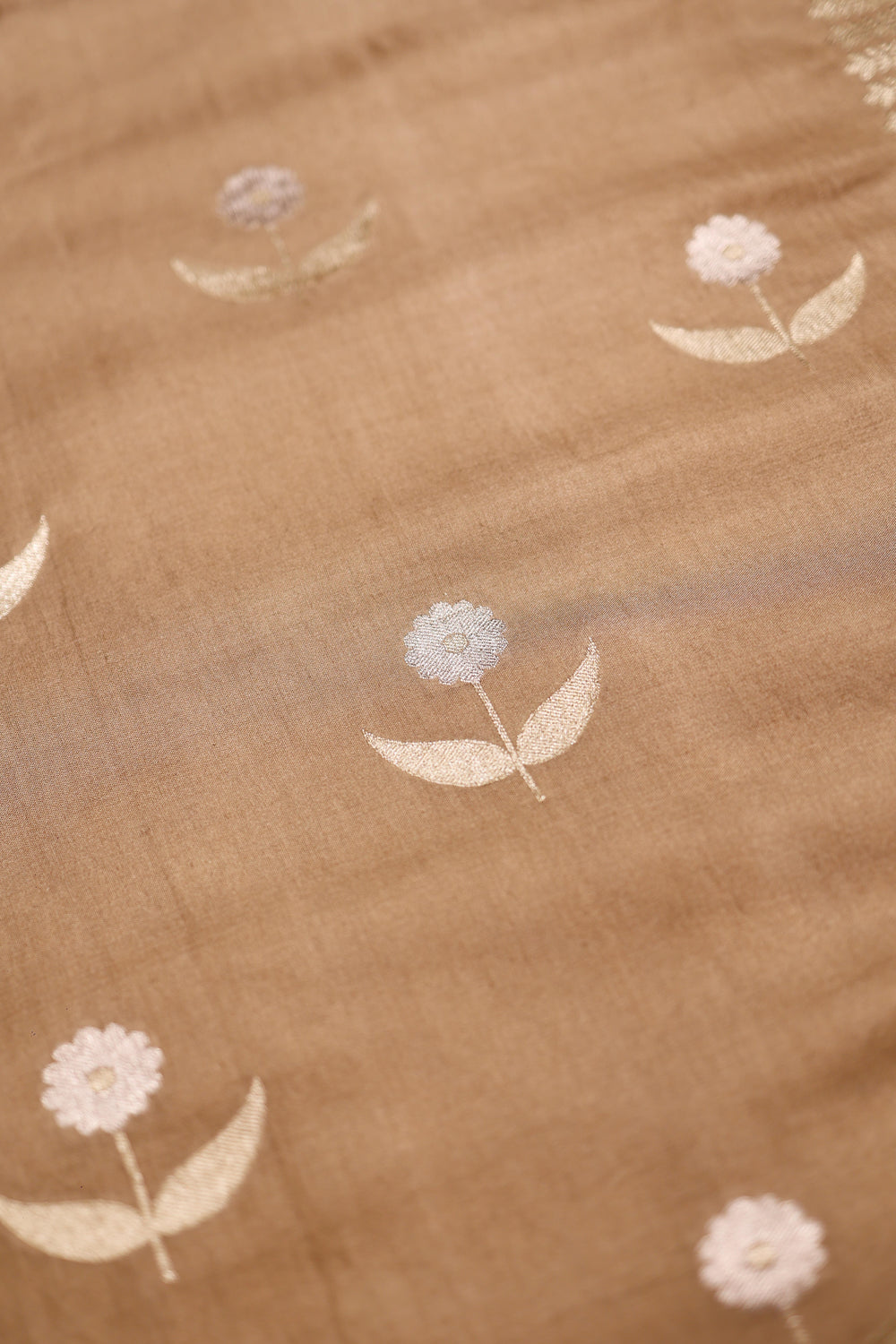 Handwoven Beige Banarasi Moonga Silk Saree