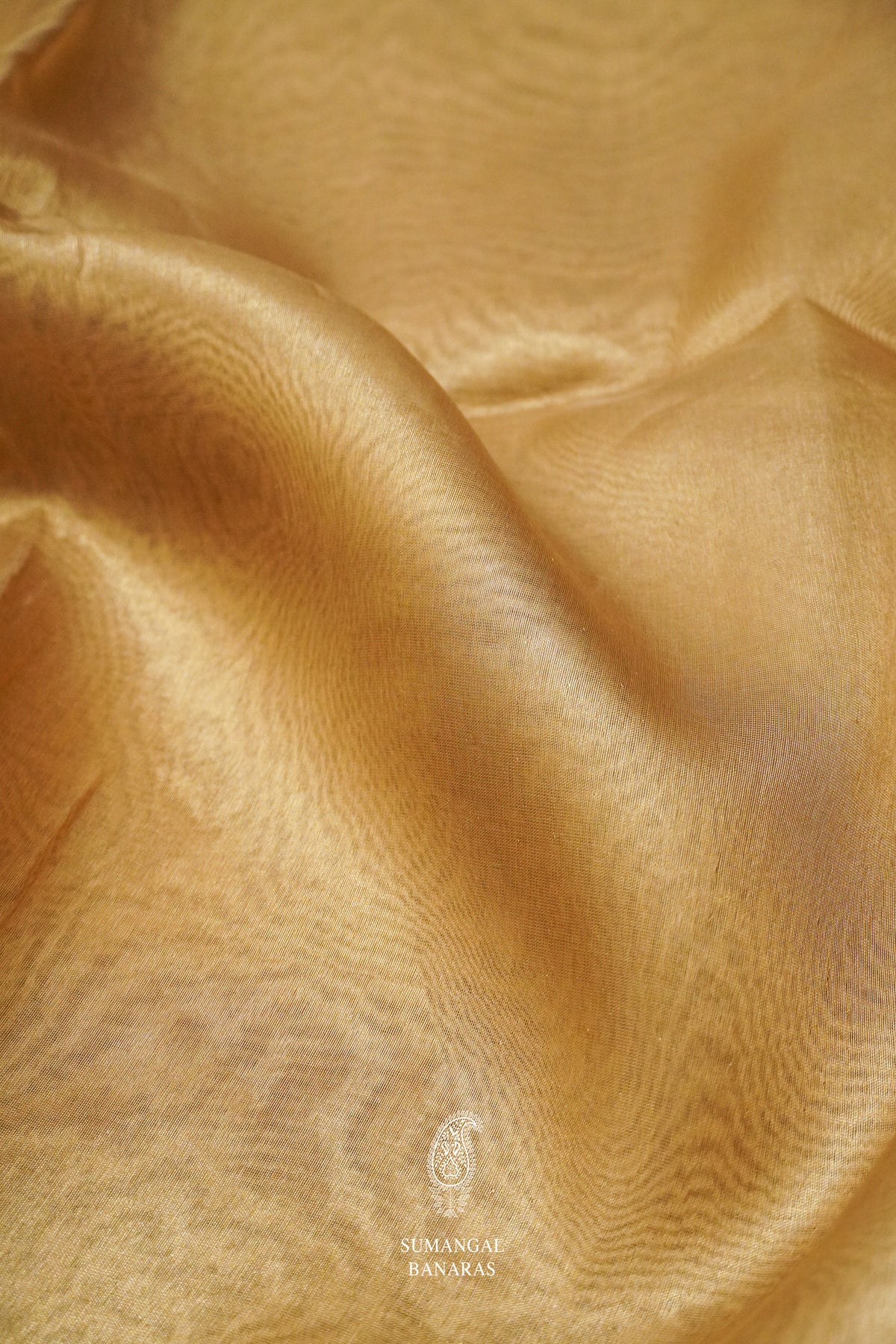 Handwoven Glow Gold Banarsi Tissue Silk Saree