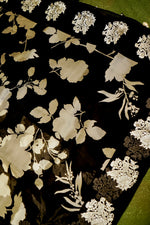 Designer Black Organza Saree