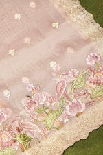 Designer Baby Pink Organza Suit