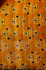 Designer Brown  Tussar Silk Saree