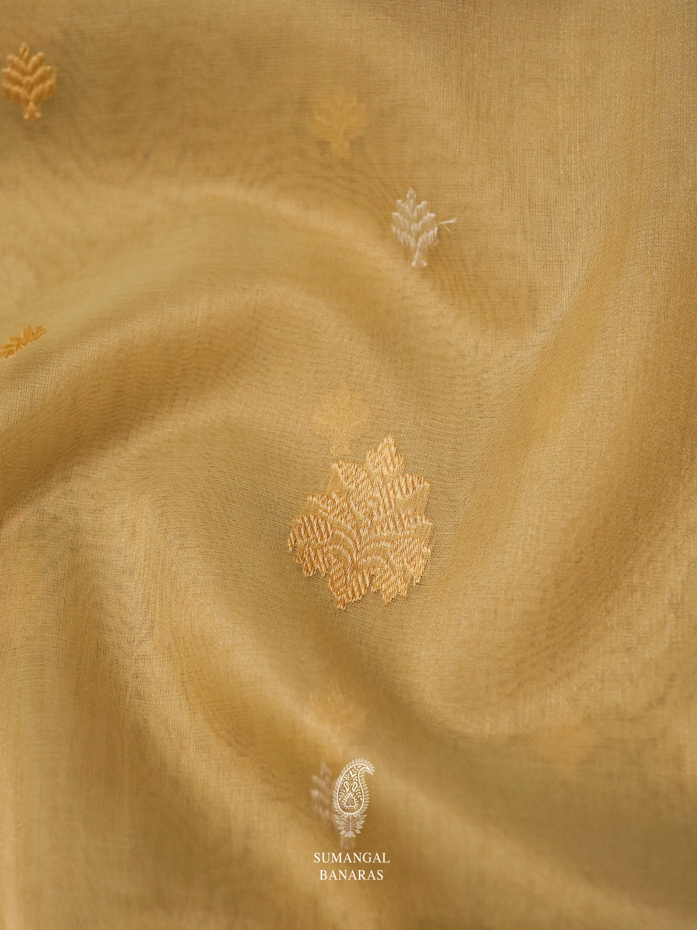 Handwoven Earthy Beige Woven Organza Silk Saree
