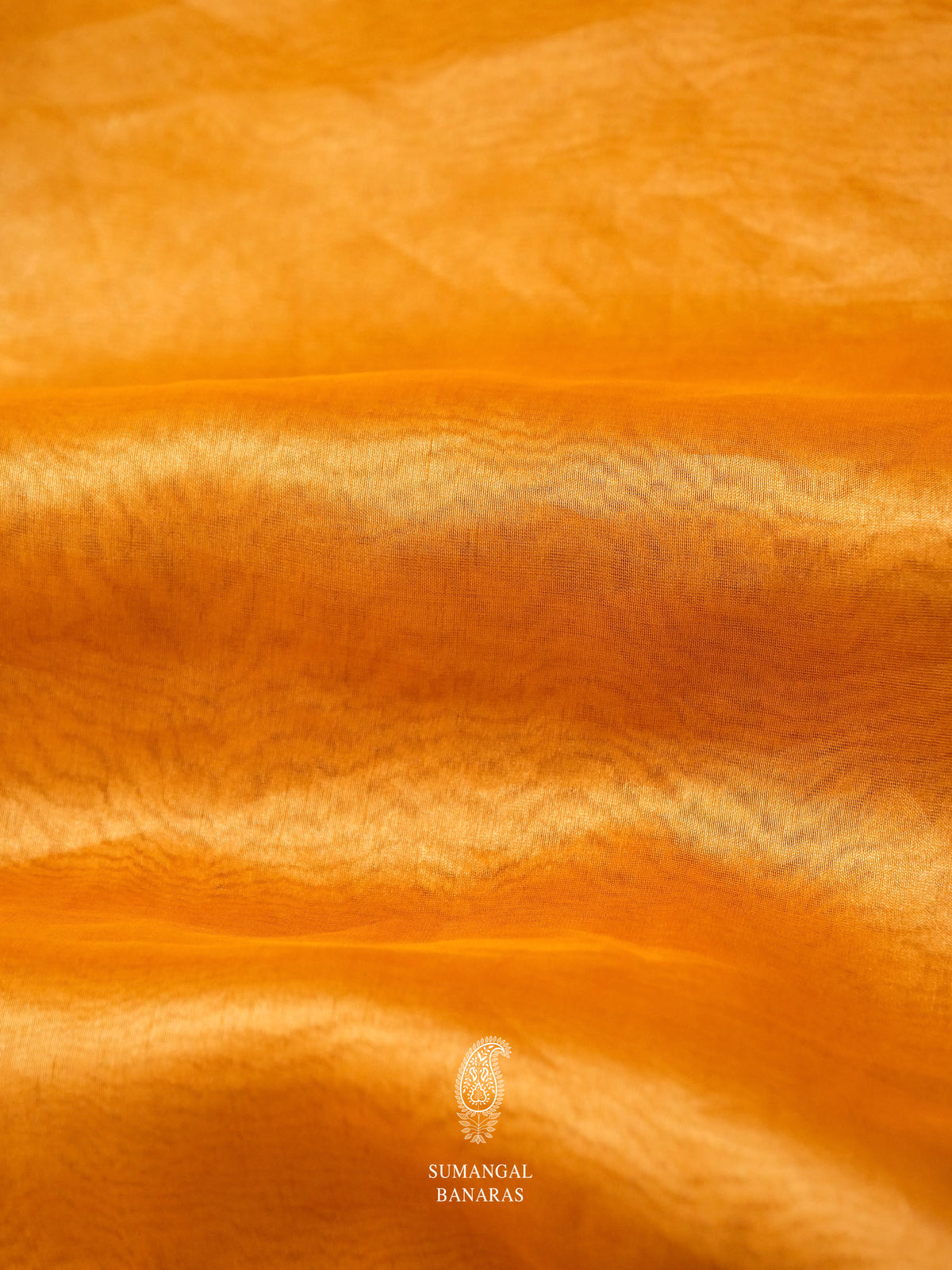 Handwoven Midnight Violet Embroidered Organza Silk Saree