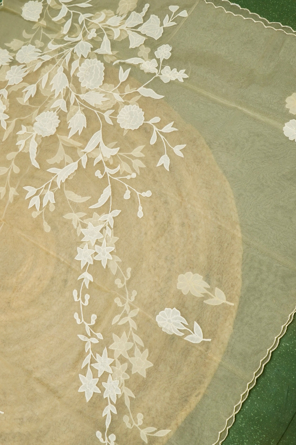 Designer Mud Green Mul Mul Cotton Suit