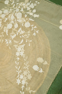 Designer Mud Green Mul Mul Cotton Suit