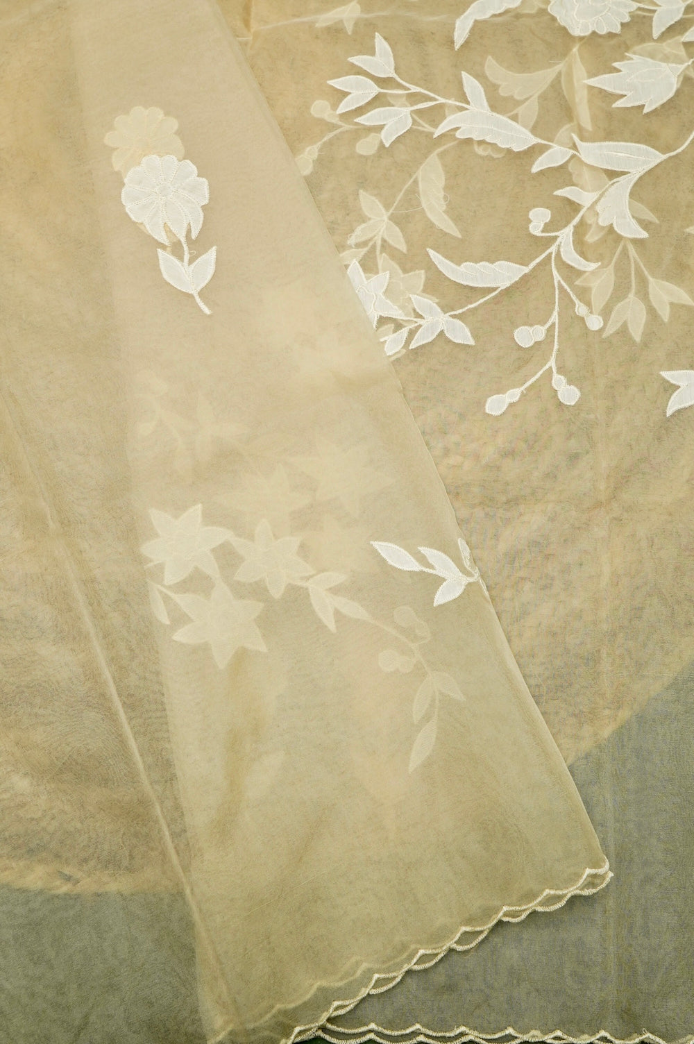 Designer Mud Green Mul Mul Cotton Suit