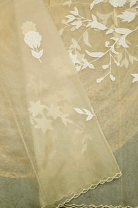 Designer Mud Green Mul Mul Cotton Suit
