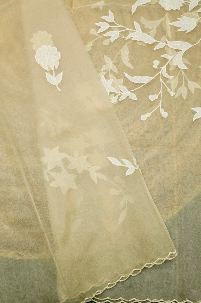 Designer Mud Green Mul Mul Cotton Suit