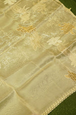 Designer Beige Organza Suit