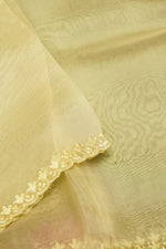 Designer Beige Organza Suit