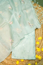 Designer Powder Blue Organza  Suit