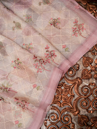 Hand Embroidered Light Pink Banaras Organza Silk Saree