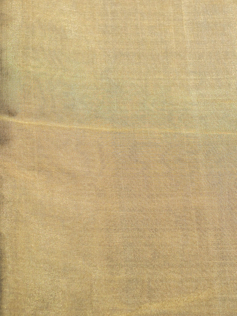 Handwoven Banarasi Tissue Silk Saree