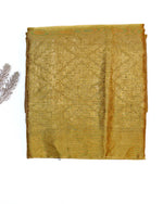 Gold Tan Brocade Katan Tissue Handwoven Banarasi Saree