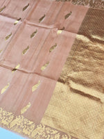Salmon Pink Motif Katan Silk Handwoven Banarasi Saree