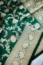 Basil Green Jaal Katan Silk Handwoven Banarasi Saree
