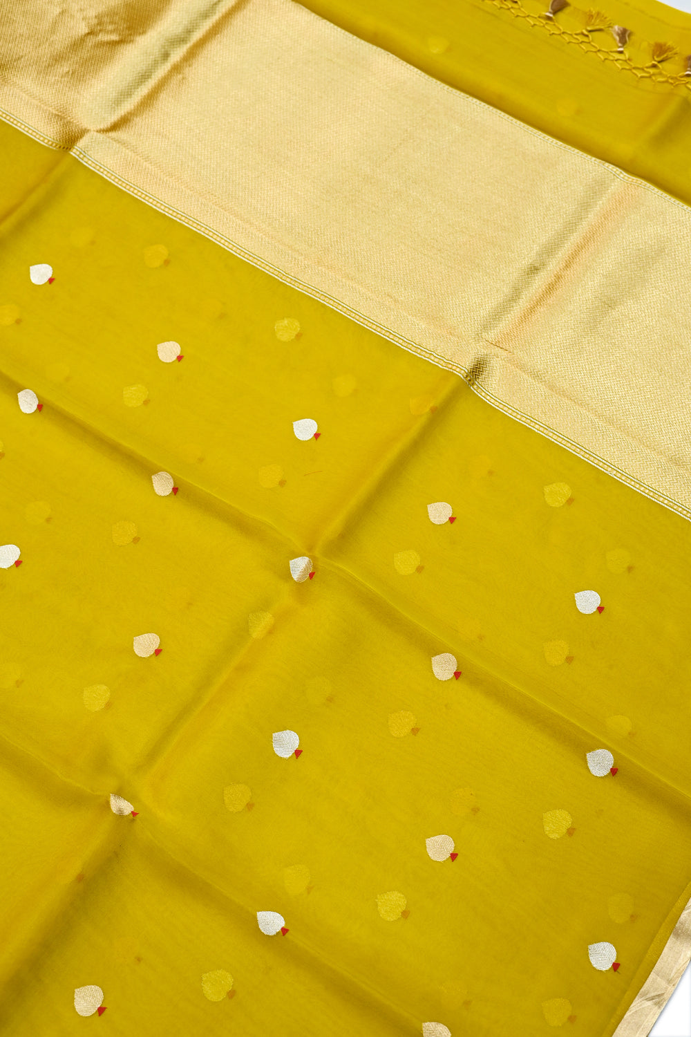Corn Yellow Sona Roopa Breezy Organza  Handwoven Banarasi Saree