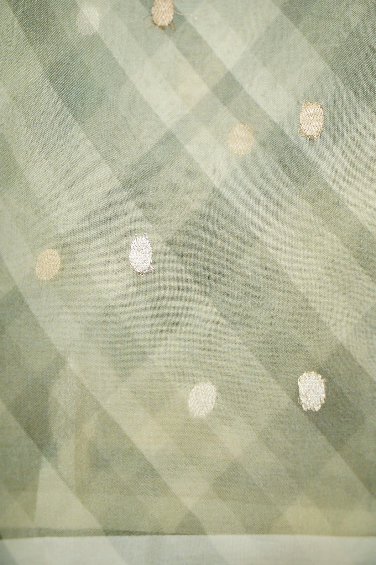 Handwoven Sage Green Banarasi Organza Saree