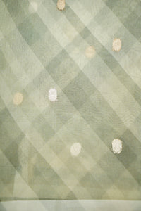 Handwoven Sage Green Banarasi Organza Saree