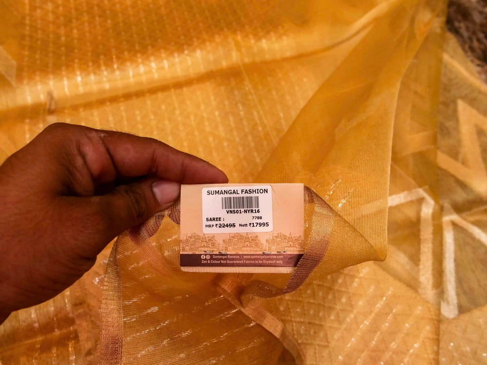 Handwoven Subtle gold Banaras Kora Organza Silk Saree