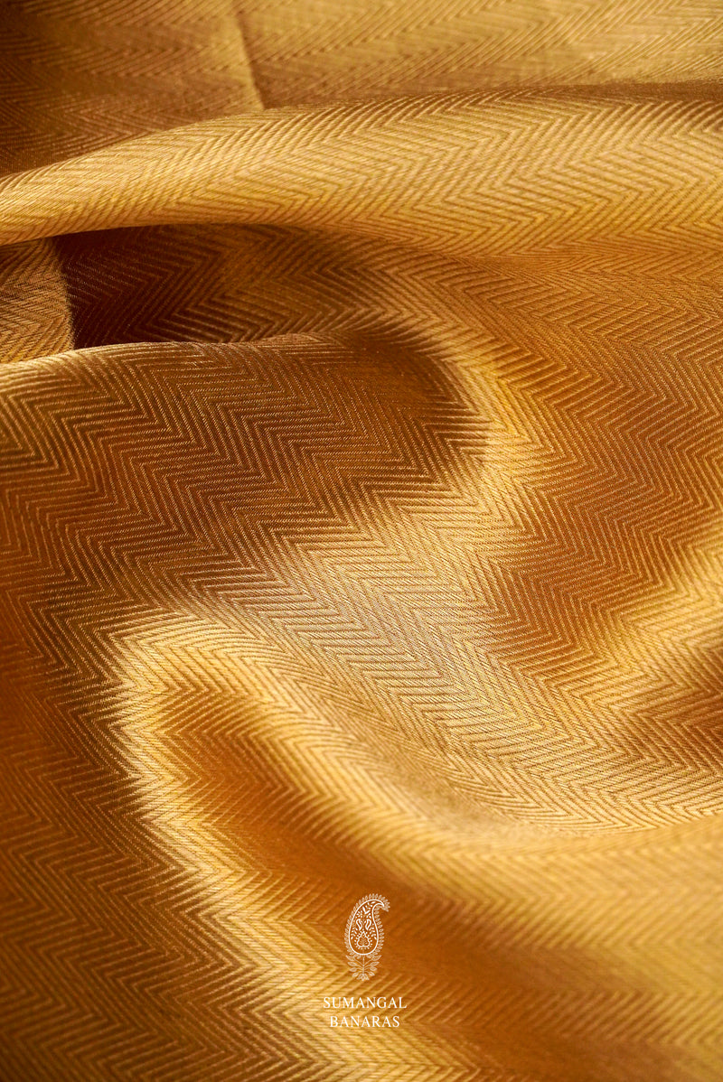 Handwoven Banarsi Flexing Gold Tissue Silk Saree