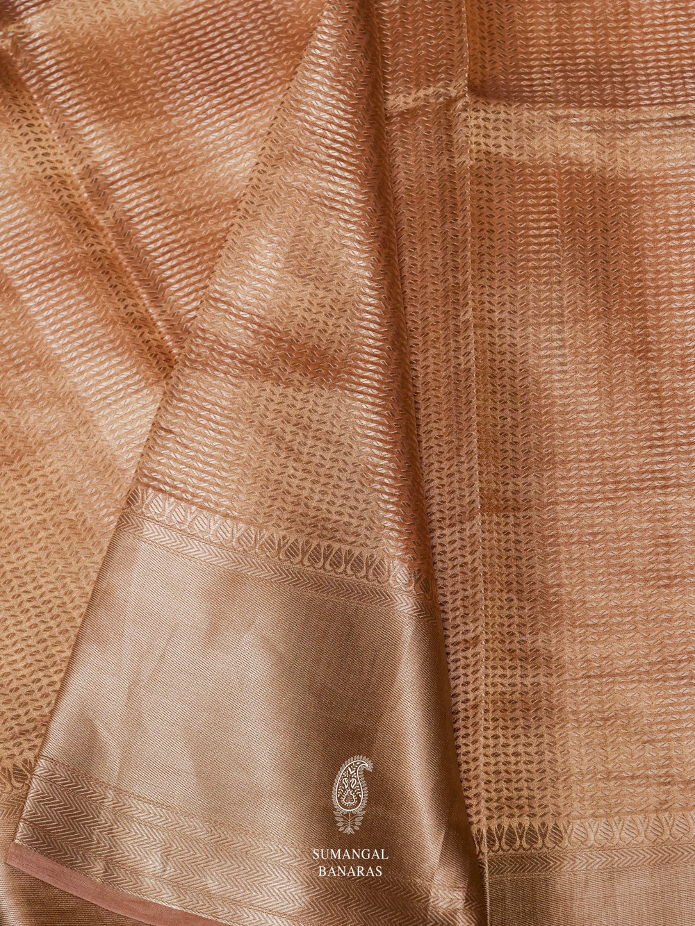 Handwoven Banarasi Tissue Saree