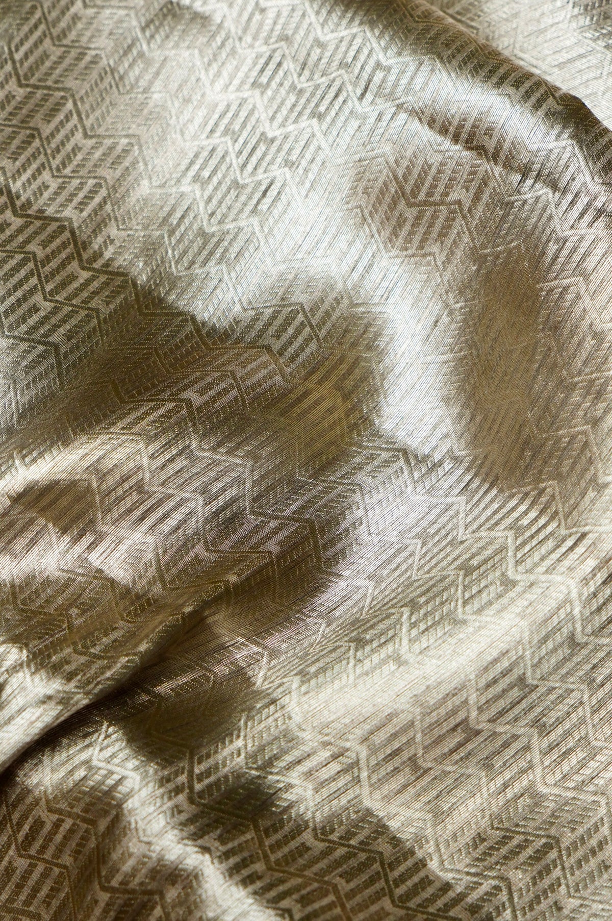 Handwoven Golden Grey Banarasi Tissue Silk Saree