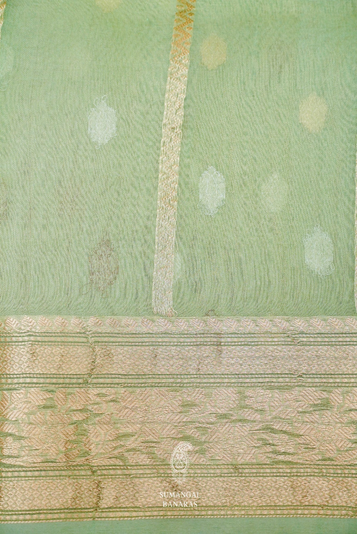 Handwoven Sea Green  Banarasi Tissue Organza Silk Saree
