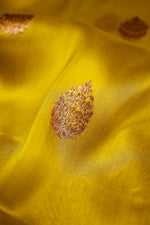 Handwoven Mustard Yellow Banarasi Organza Saree