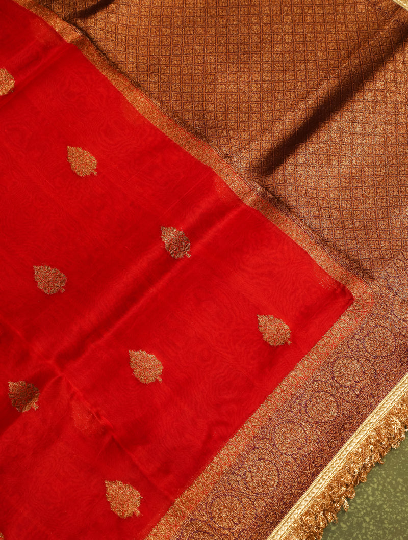 Handwoven Red Banarasi Organza Silk Saree