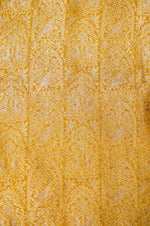 Handwoven Yellow Banarasi Moonga Silk Suit