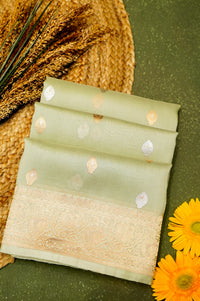 Handwoven Pastel Green Banarasi Organza Saree