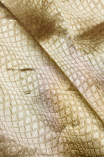 Handwoven Brown Banarasi Tissue Silk Saree