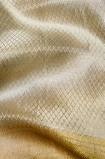 Handwoven Silver Banarasi Tissue Silk Saree