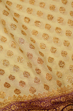 Handwoven Ivory Banarasi Crepe Georgette Saree
