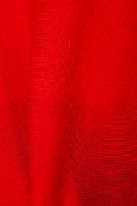 Designer Red Organza Suit