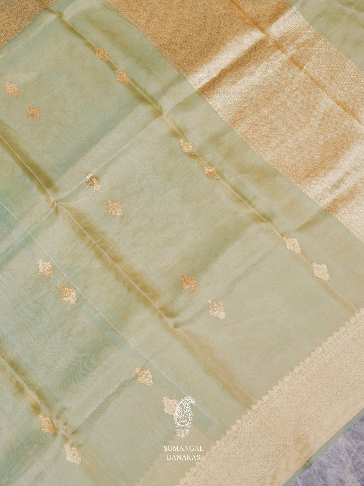 Handwoven Saga Green Tissue Silk Saree