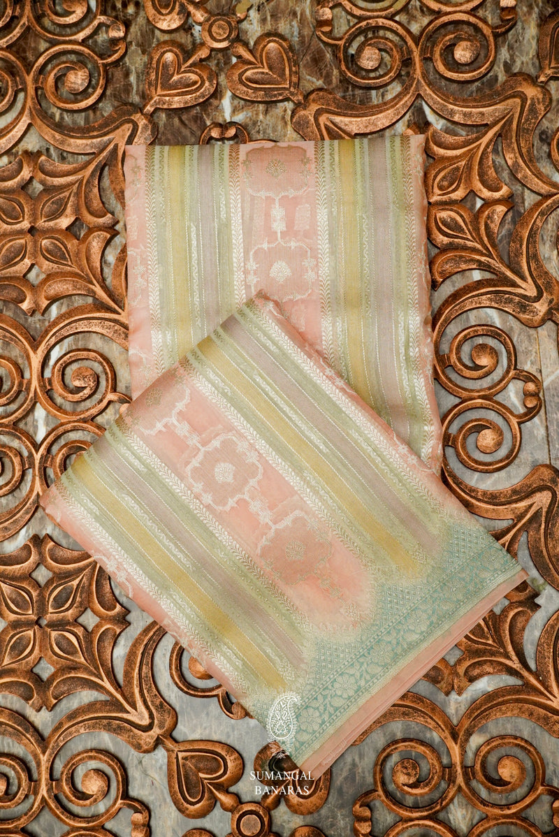 Handwoven Rangkat Banarasi Organza Saree