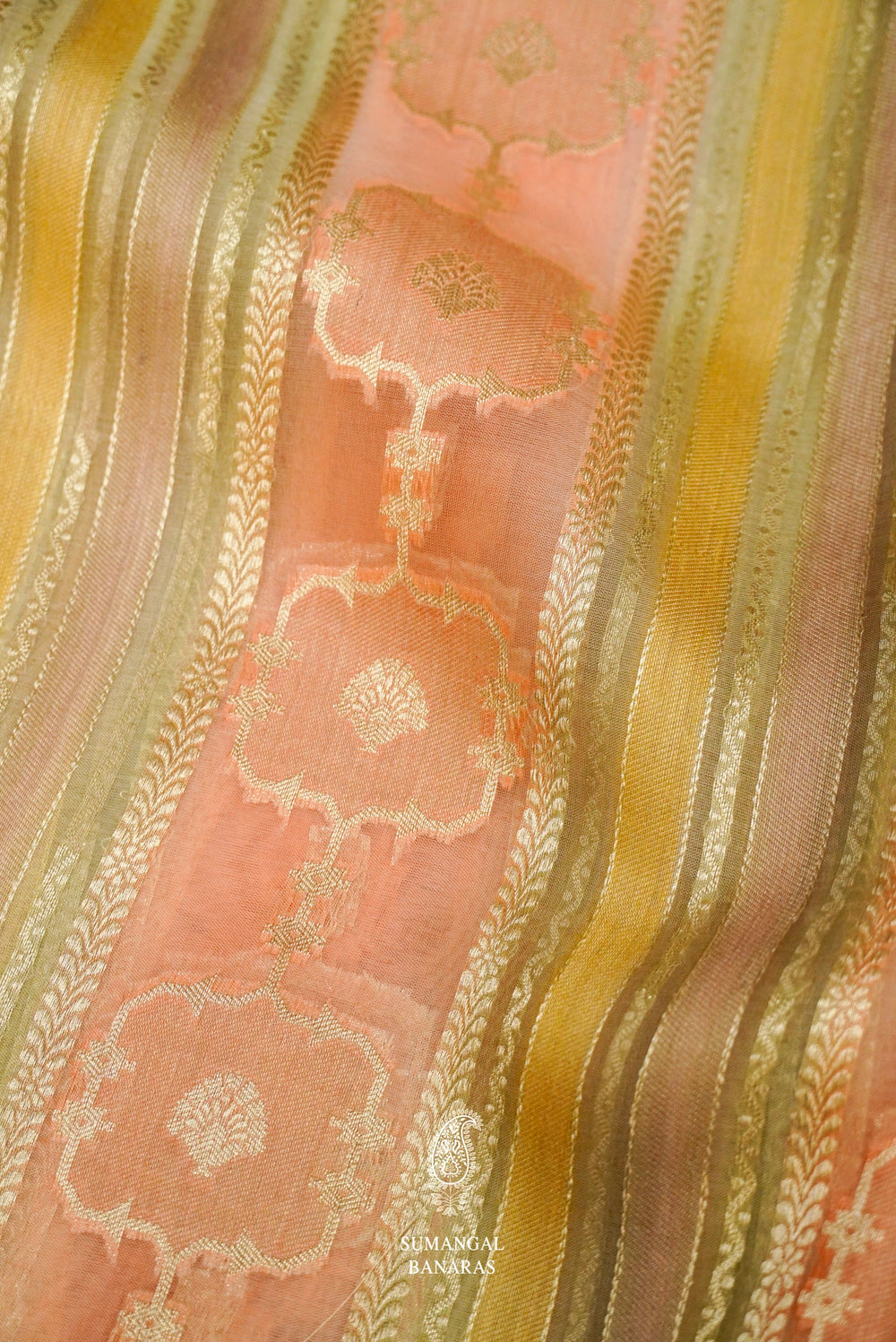 Handwoven Rangkat Banarasi Organza Saree