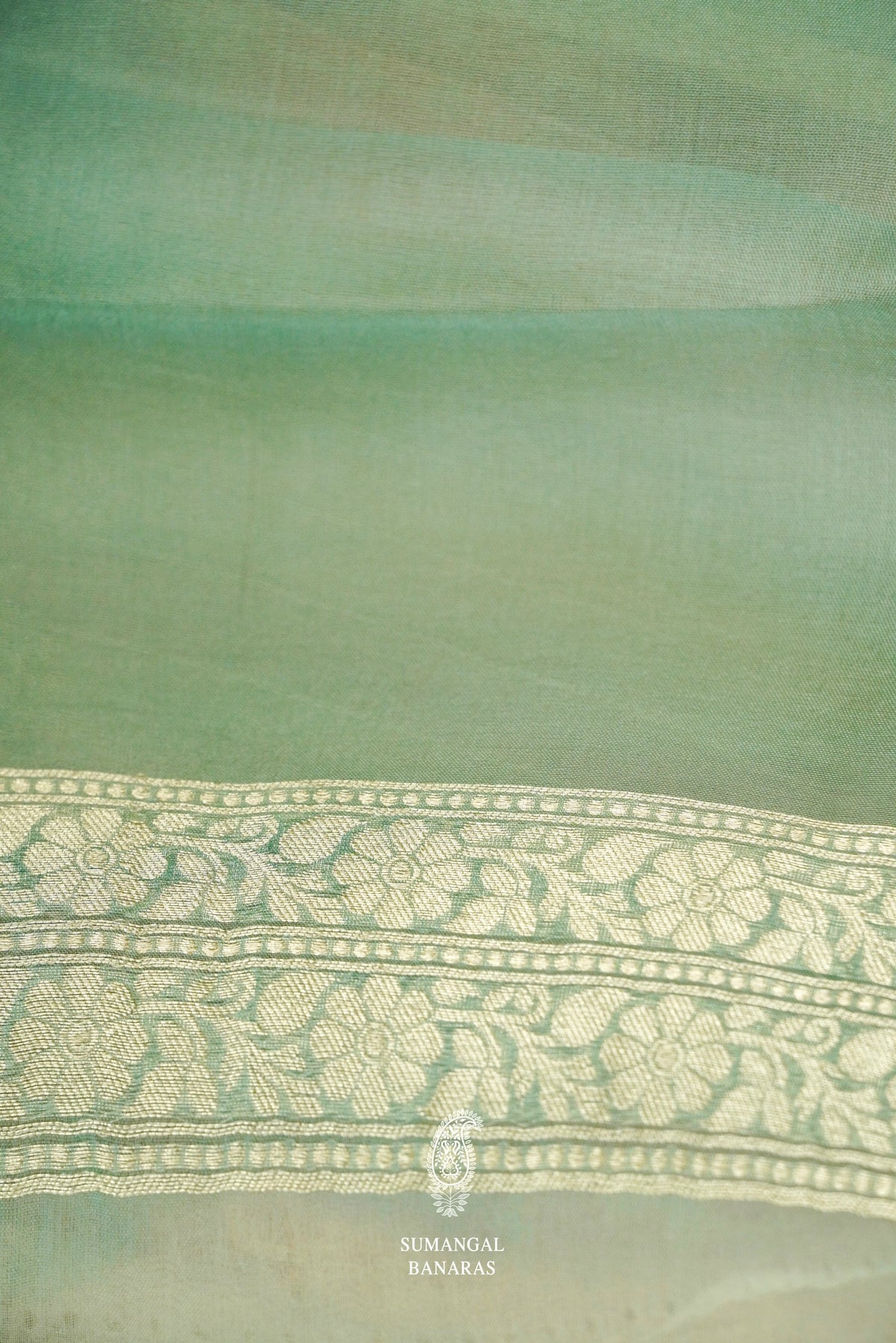 Handwoven Rangkat Banarasi Organza Saree