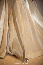 Designer Golden Tissue Silk Crop Top