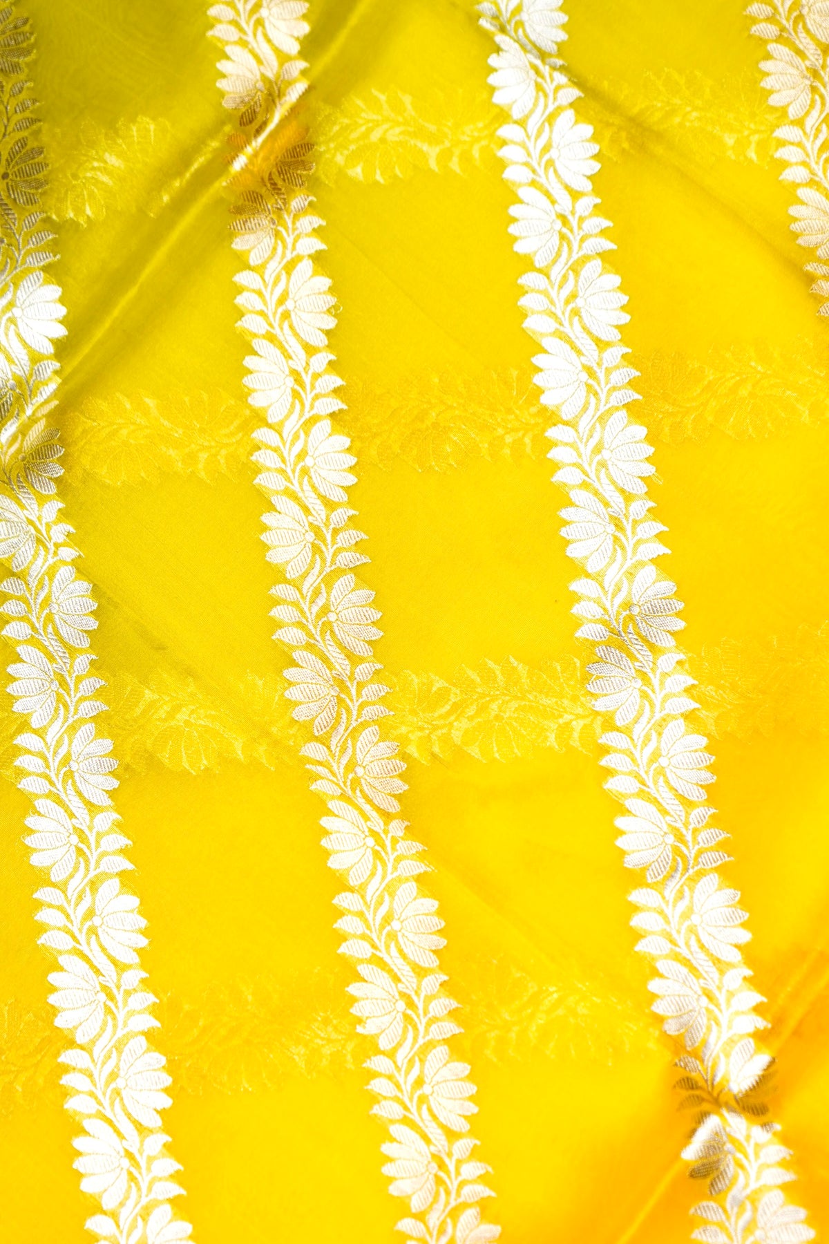 Designer Mustard Yellow Moonga Silk Suit